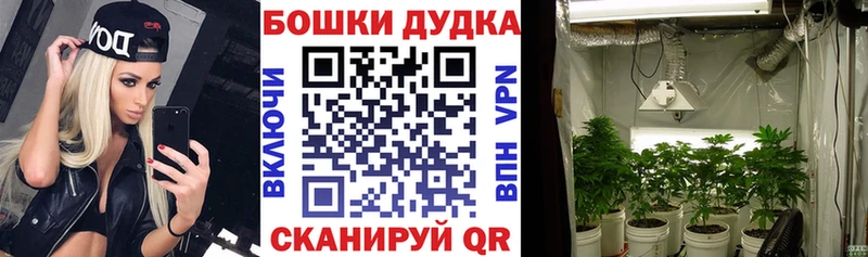Что такое Сольвычегодск Гашиш Каннабис COCAIN Меф мяу мяу