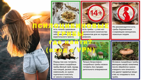СК Навашино