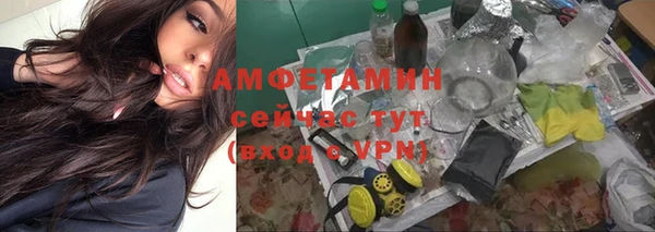 шишки Михайловск